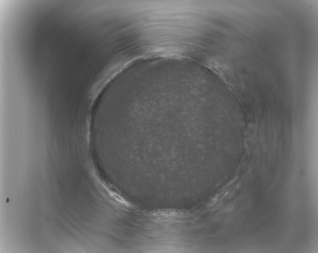 X0000070860194200606302054