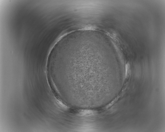 X0000070860195200606302054