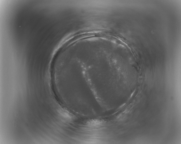 X0000070860198200606302054