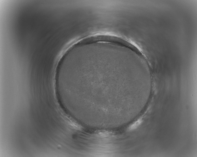 X0000070860199200606302054