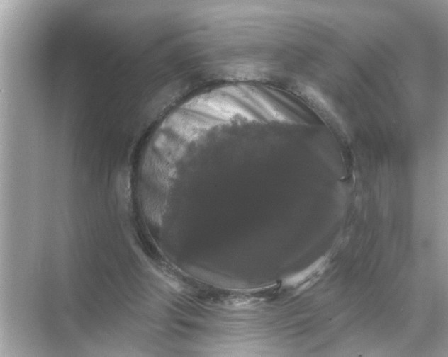 X0000070860202200606302054