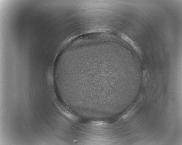 X0000070860203200606302054