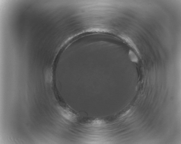 X0000070860204200606302054