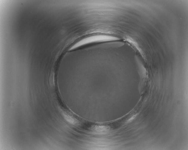 X0000070860205200606302054