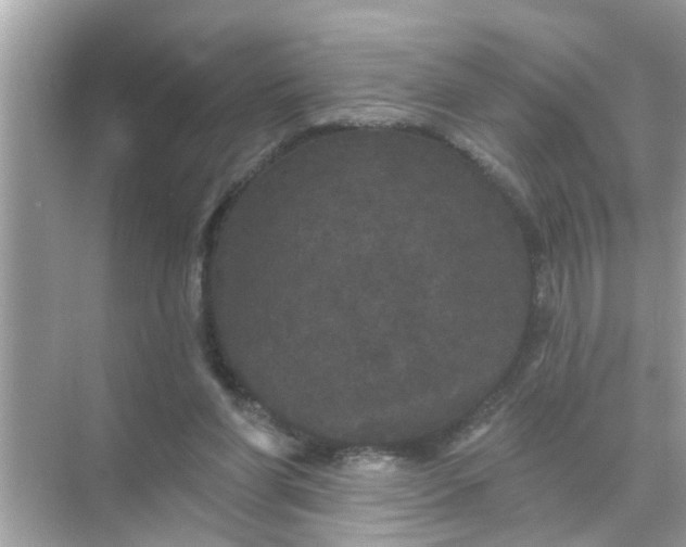 X0000070860206200606302054