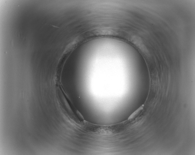 X0000070860207200606302054