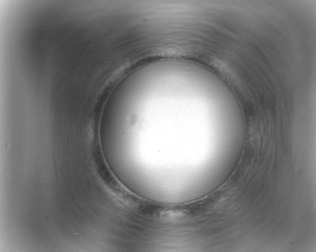 X0000070860208200606302054