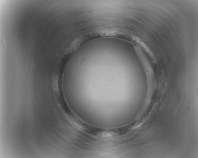 X0000070860209200606302054