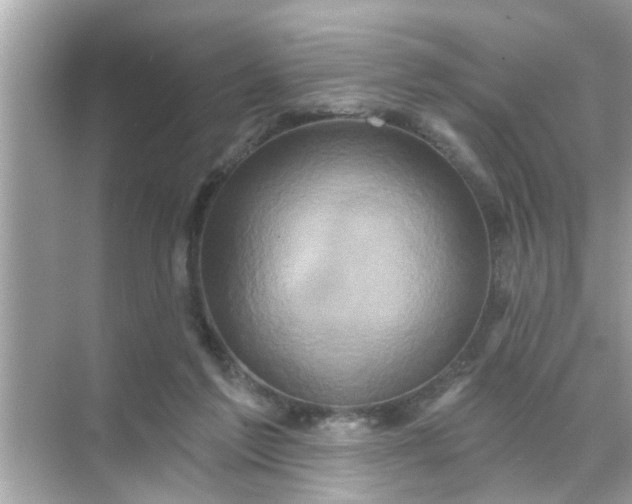 X0000070860213200606302054