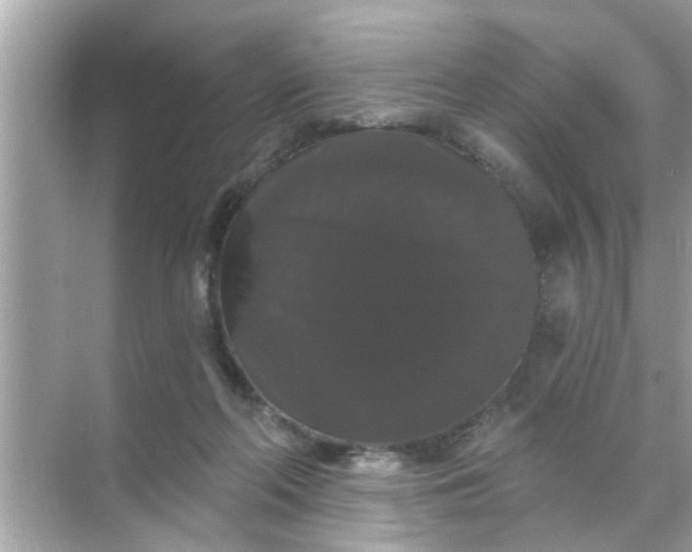 X0000070860214200606302054