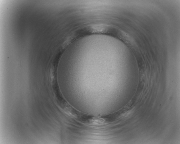 X0000070860215200606302054