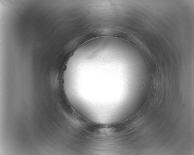 X0000070860216200606302054