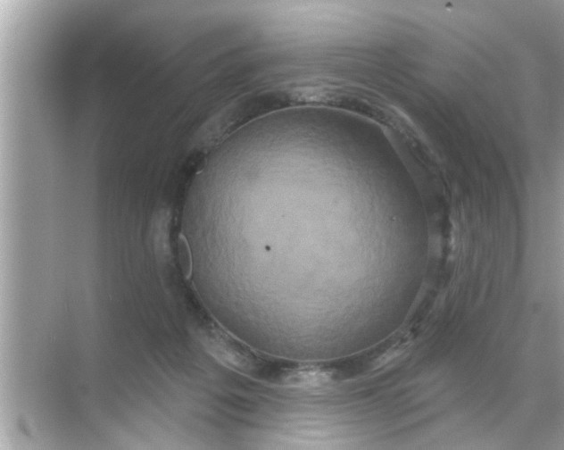 X0000070860217200606302054