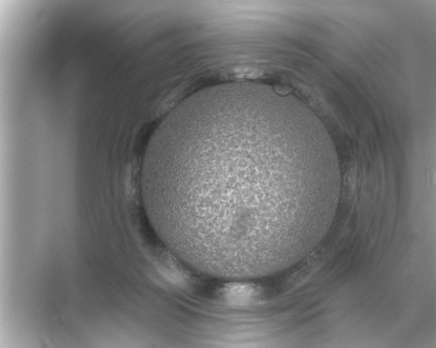 X0000070860218200606302054