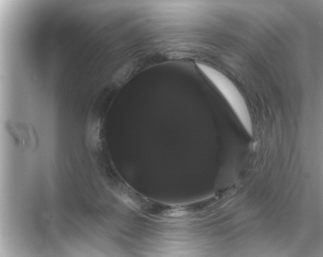 X0000070860219200606302054