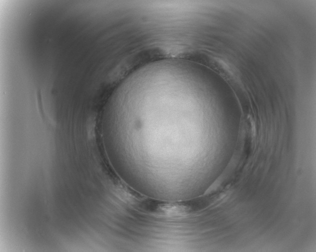 X0000070860221200606302054