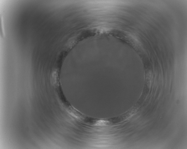 X0000070860222200606302054