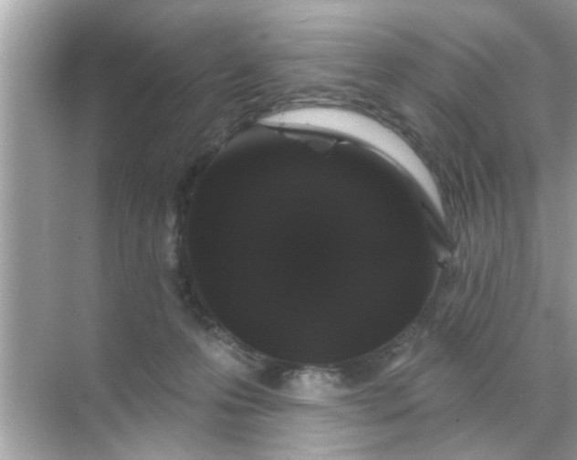 X0000070860223200606302054