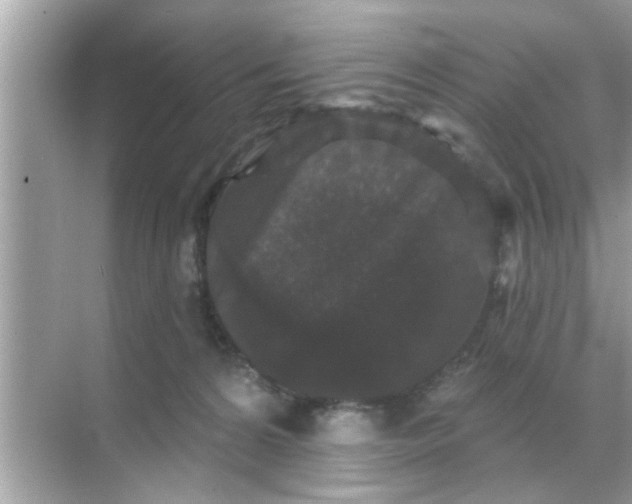 X0000070860224200606302054