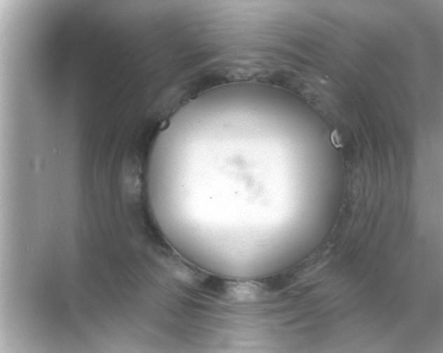 X0000070860226200606302054