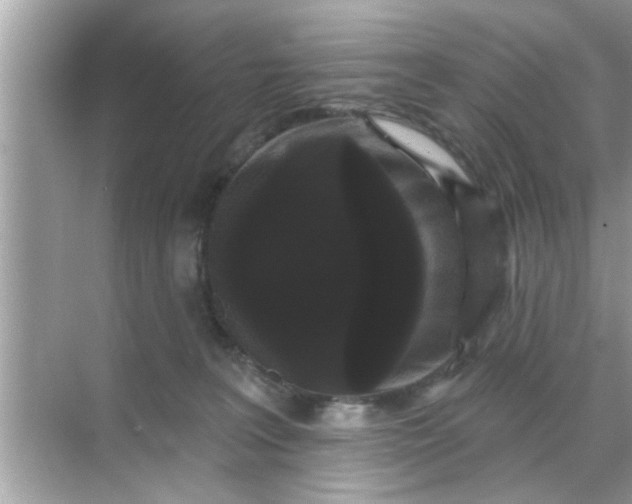 X0000070860227200606302054