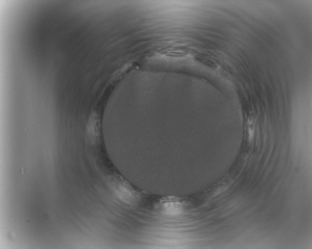 X0000070860228200606302054