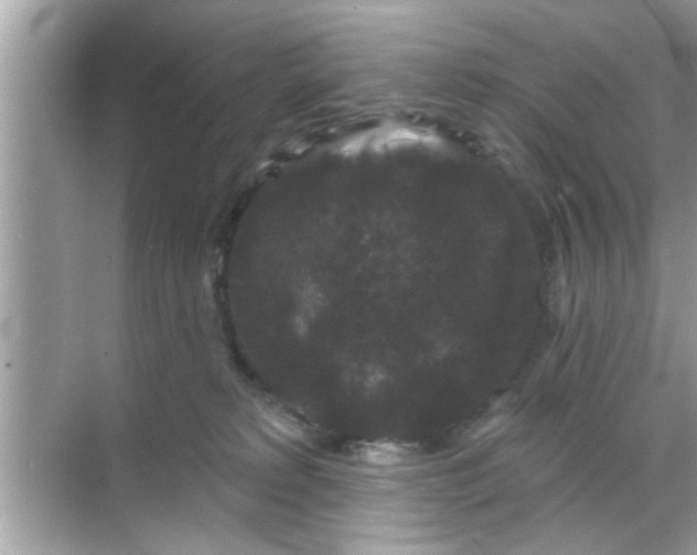 X0000070860229200606302054