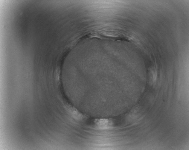 X0000070860230200606302054