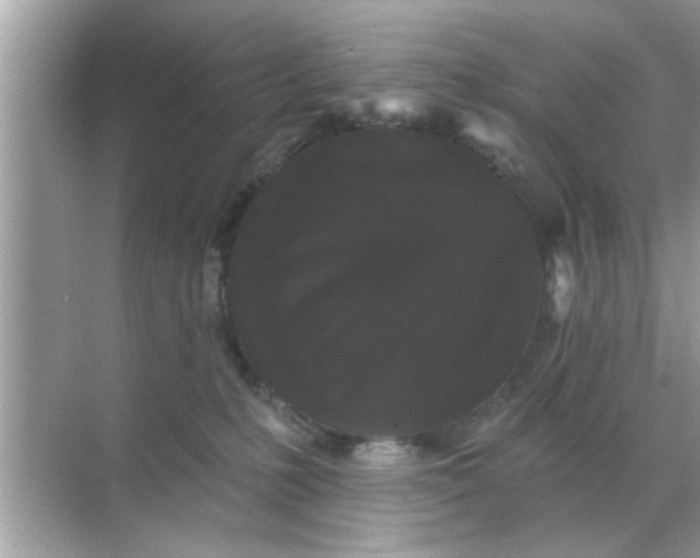 X0000070860231200606302054