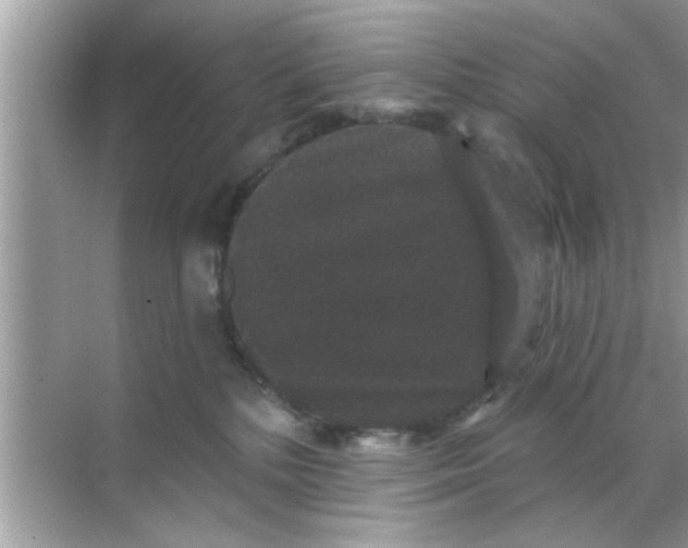 X0000070860232200606302054