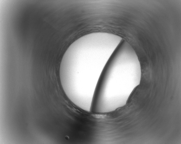 X0000070860233200606302054