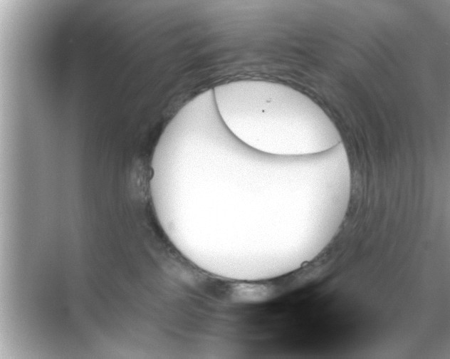 X0000070860234200606302054