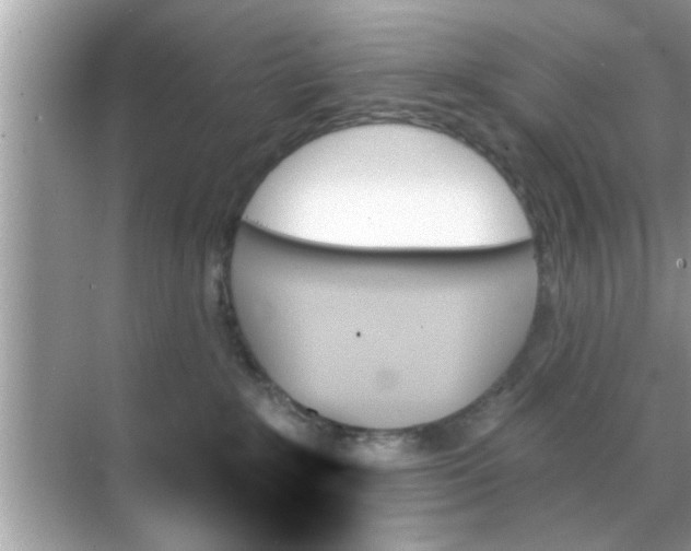 X0000070860235200606302054