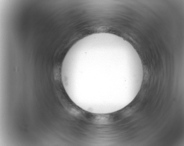 X0000070860236200606302054