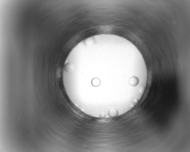 X0000070860238200606302054