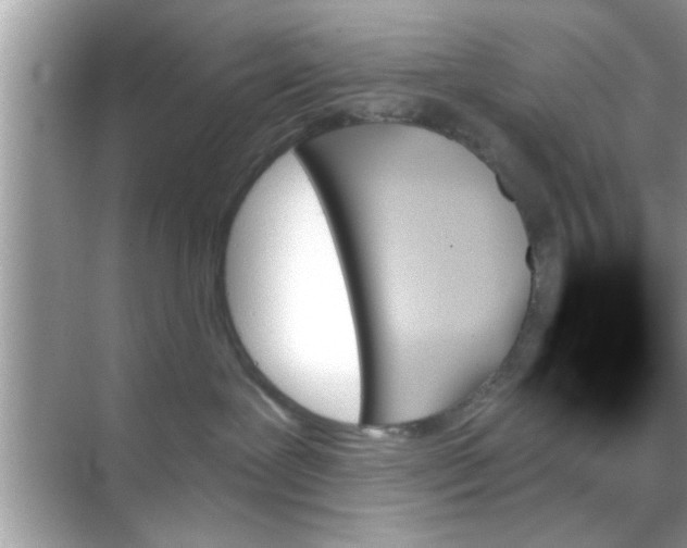 X0000070860239200606302054