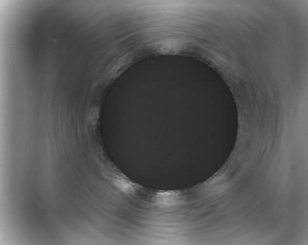 X0000070860240200606302054