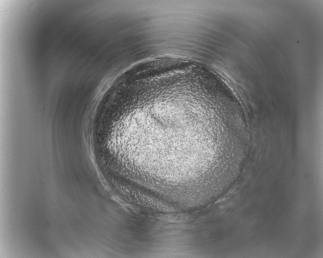 X0000070860241200606302053