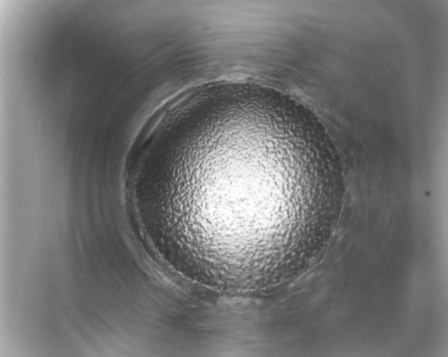 X0000070860242200606302053