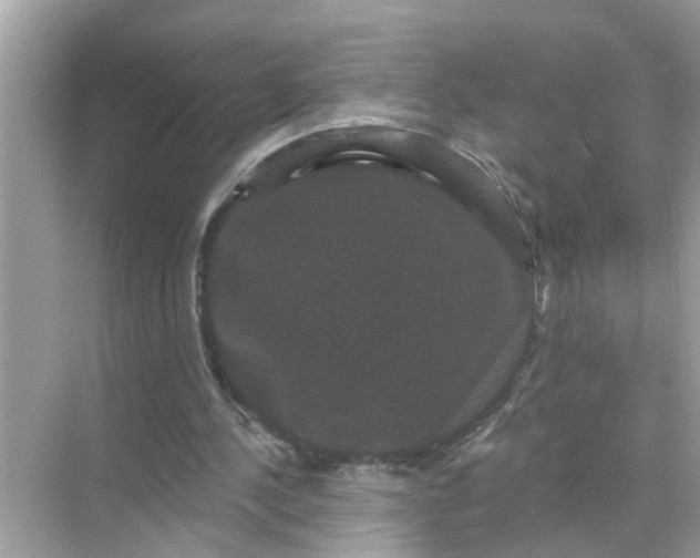 X0000070860244200606302053