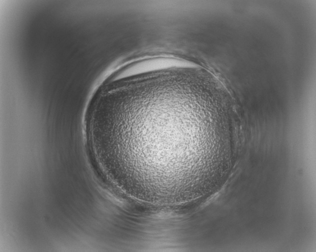 X0000070860246200606302053