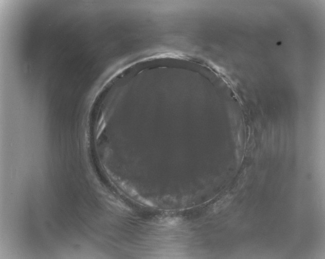 X0000070860247200606302053