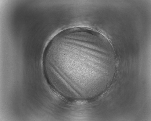 X0000070860248200606302053