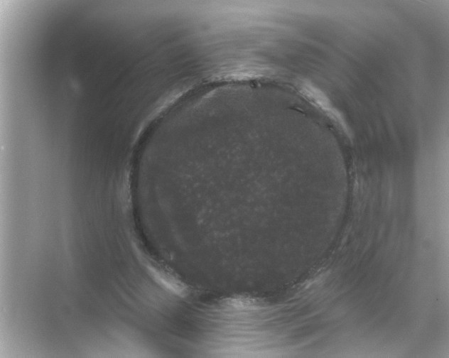 X0000070860250200606302053