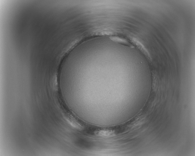 X0000070860251200606302053