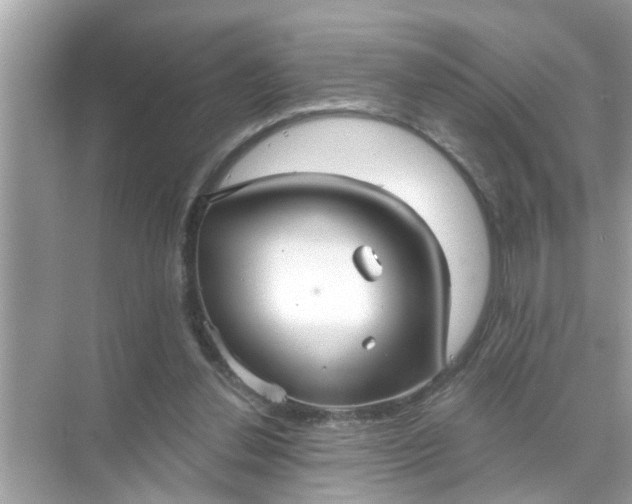 X0000070860252200606302053