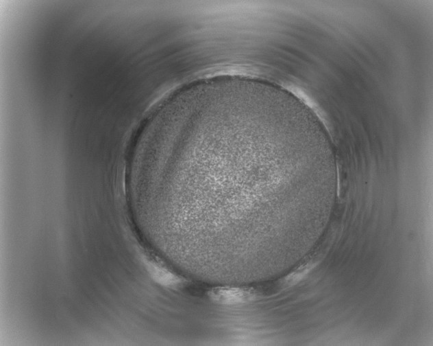 X0000070860253200606302053