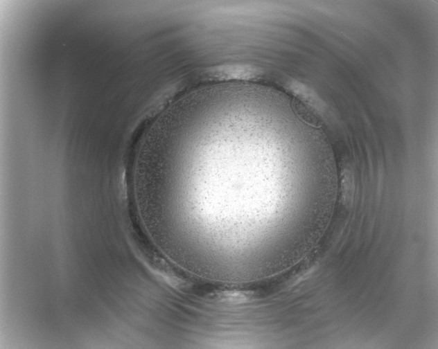 X0000070860254200606302053