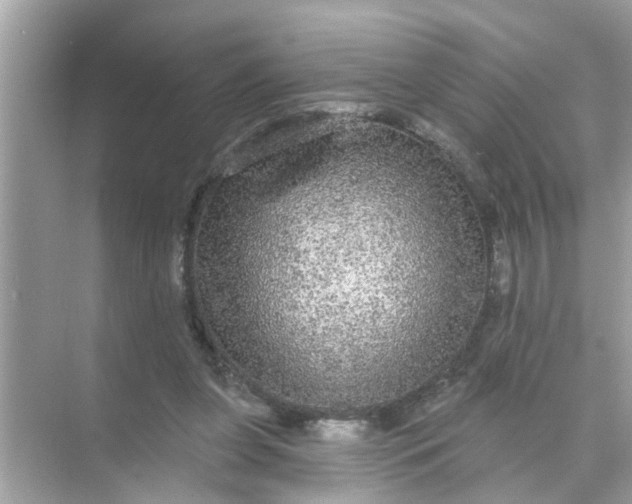 X0000070860255200606302053