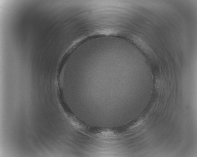 X0000070860256200606302053